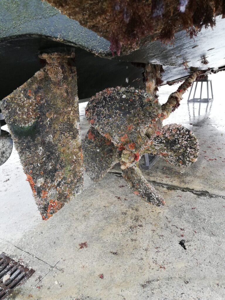 MY Salwator - Aicon 64